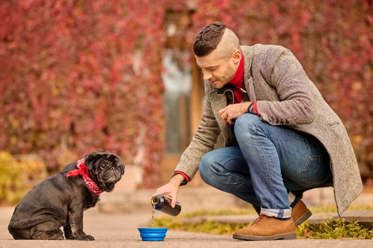 Pet5ardas com – The Ultimate Guide for Pet Lovers